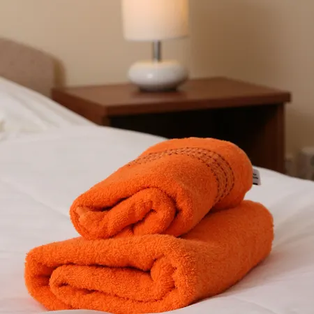 Hotel Aaron 3*